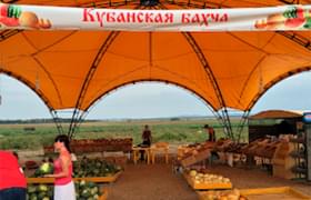 Застекленный потолок